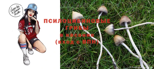 прущая мука Армянск