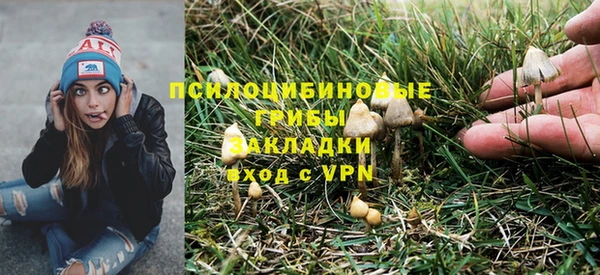 трава Алексин