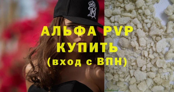 индика Аркадак